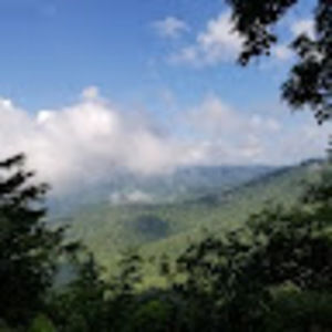 Meet your Posher, Lavender